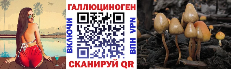 Галлюциногенные грибы Cubensis  гидра онион  Руза 